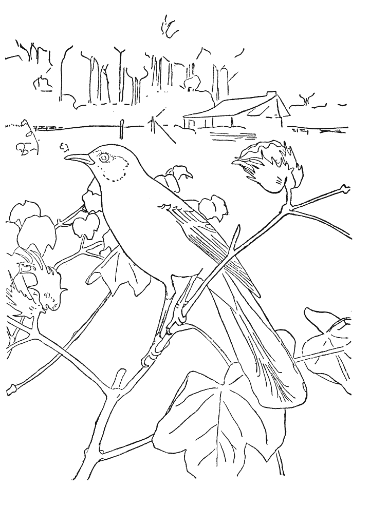 Oiseaux perchés sur des branches entourés de feuillage