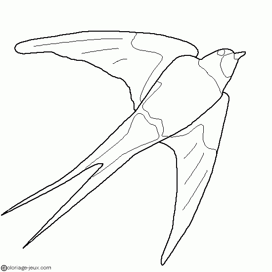 Coloriage d'oiseaux perchés sur une branche entourée de feuillage