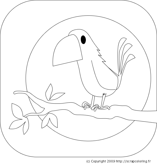 Oiseaux perchés sur des branches dans un environnement naturel