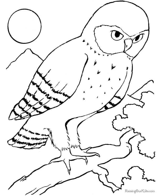 Coloriage d'oiseaux perchés sur une branche sous un ciel nuageux