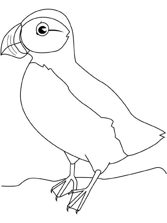 Coloriage d'oiseaux perchés sur des branches avec un fond naturel