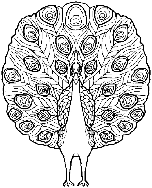 Coloriage d'oiseaux perchés sur une branche dans un cadre naturel