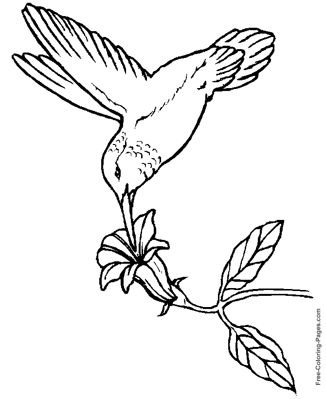 Oiseaux perchés sur des branches dans un décor naturel