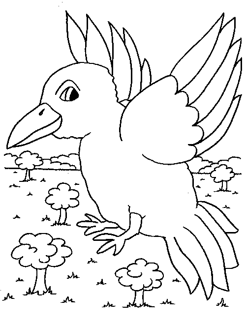 Coloriage d'oiseaux perchés sur des branches avec motifs naturels
