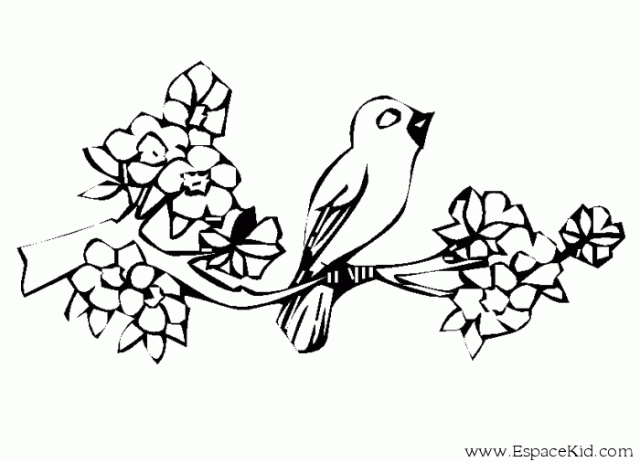 Oiseaux perchés sur des branches avec un arrière-plan naturel Oiseaux perchés sur des branches avec un arrière-plan naturel