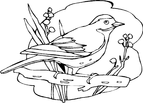Coloriage d'oiseaux perchés sur des branches avec des feuilles