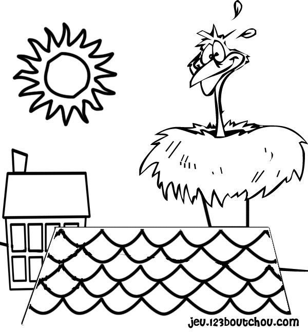 Coloriage d'oiseaux perchés sur des branches avec des feuilles