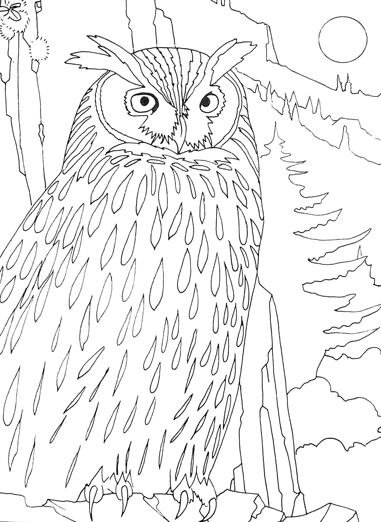 Coloriage d'oiseaux perchés sur des branches avec des détails floraux