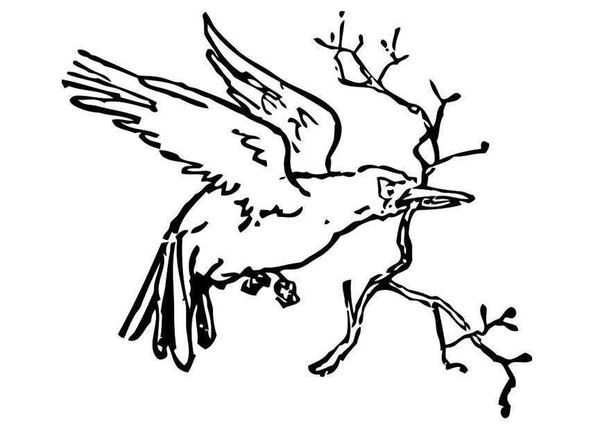 Oiseaux perchés sur des branches au cœur d'une nature paisible