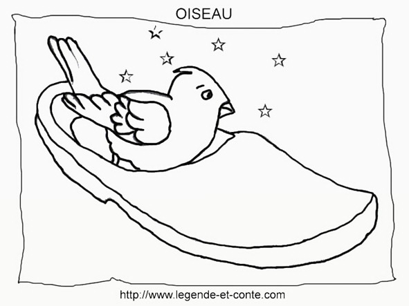 Oiseaux perchés sur une branche avec un arrière-plan de feuillage
