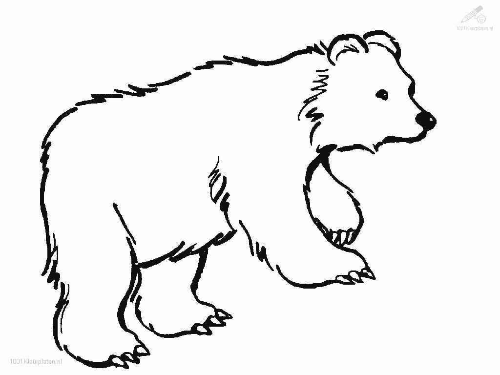 Un ours joyeux s'installant sur l'herbe avec un arbre en arrière-plan