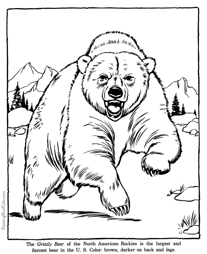 Un ours joyeux au cœur d'une forêt calme