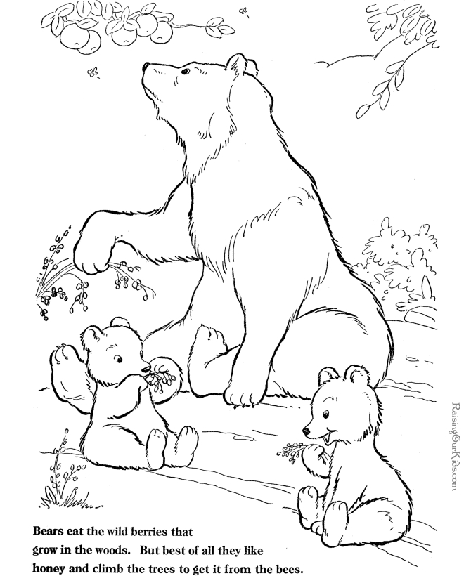 Un ours souriant se reposant dans un paysage forestier