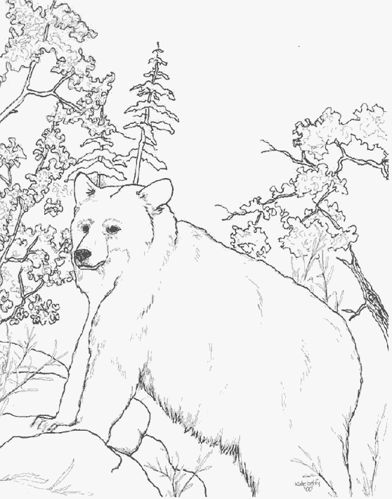 Ours jouant dans un paysage forestier