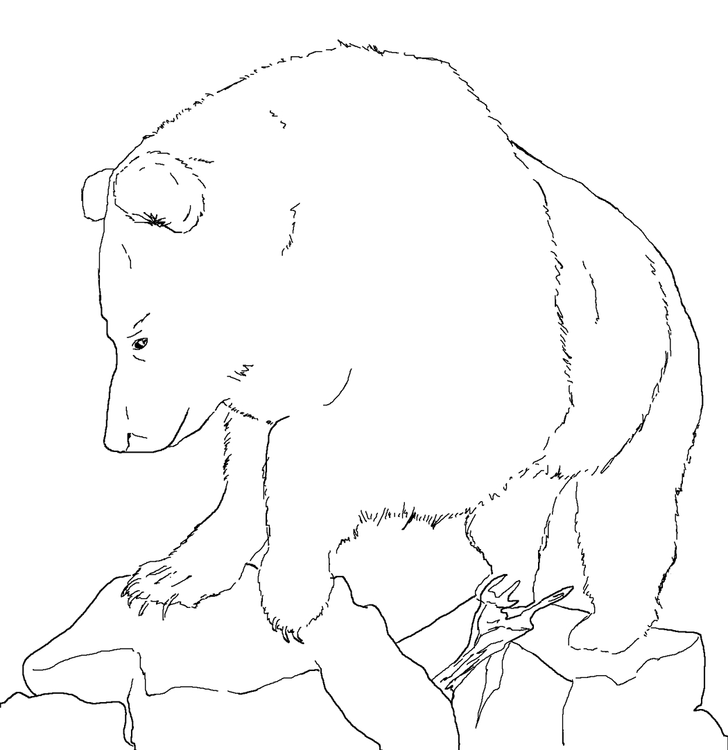 Un ours joyeux assis sur un rocher dans la forêt Un ours joyeux assis sur un rocher dans la forêt