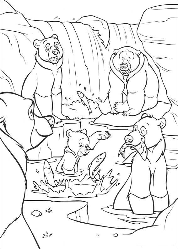 Un ours joyeux au milieu d'un paysage forestier