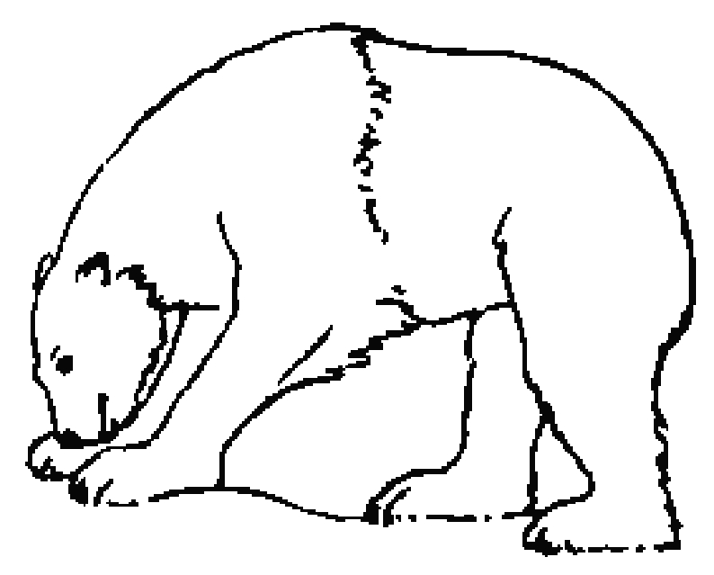 Un ours souriant assis dans une prairie ensoleillée