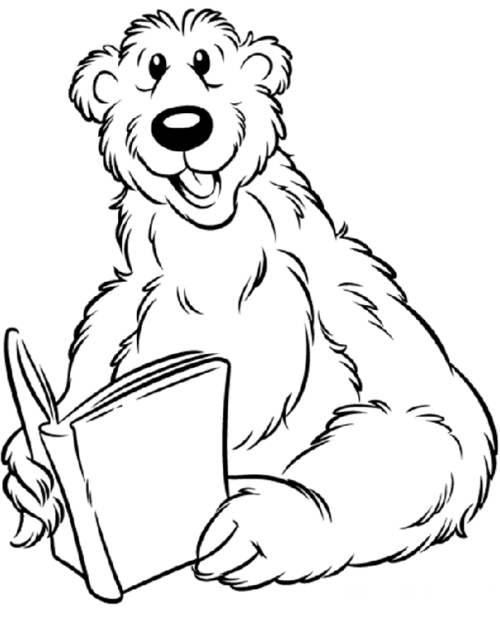 Un ours paisible se reposant dans la forêt