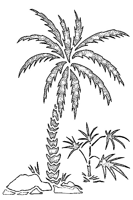 Coloriage d'un palmier majestueux sur fond de nature