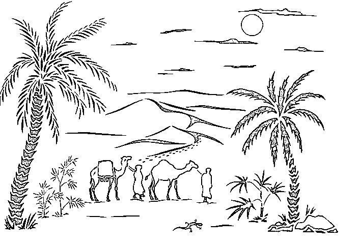 Coloriage d'un palmier majestueux sur fond d'éléments naturels