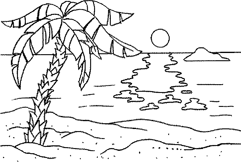 Coloriage d'un palmier majestueux sous un ciel serein