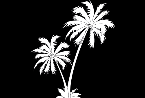 Coloriage d'un palmier sur fond de nature tropicale