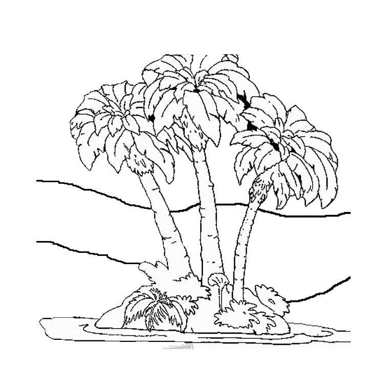 Coloriage d'un palmier sur fond tropical