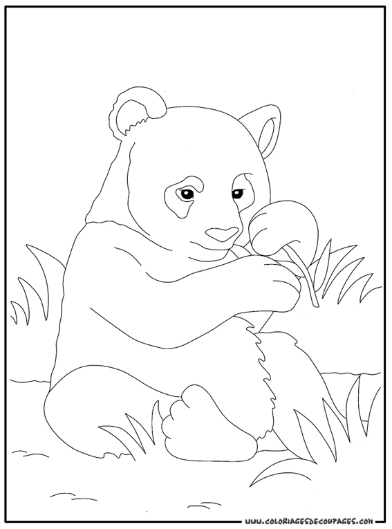 Un panda assis entouré de bambous à colorier