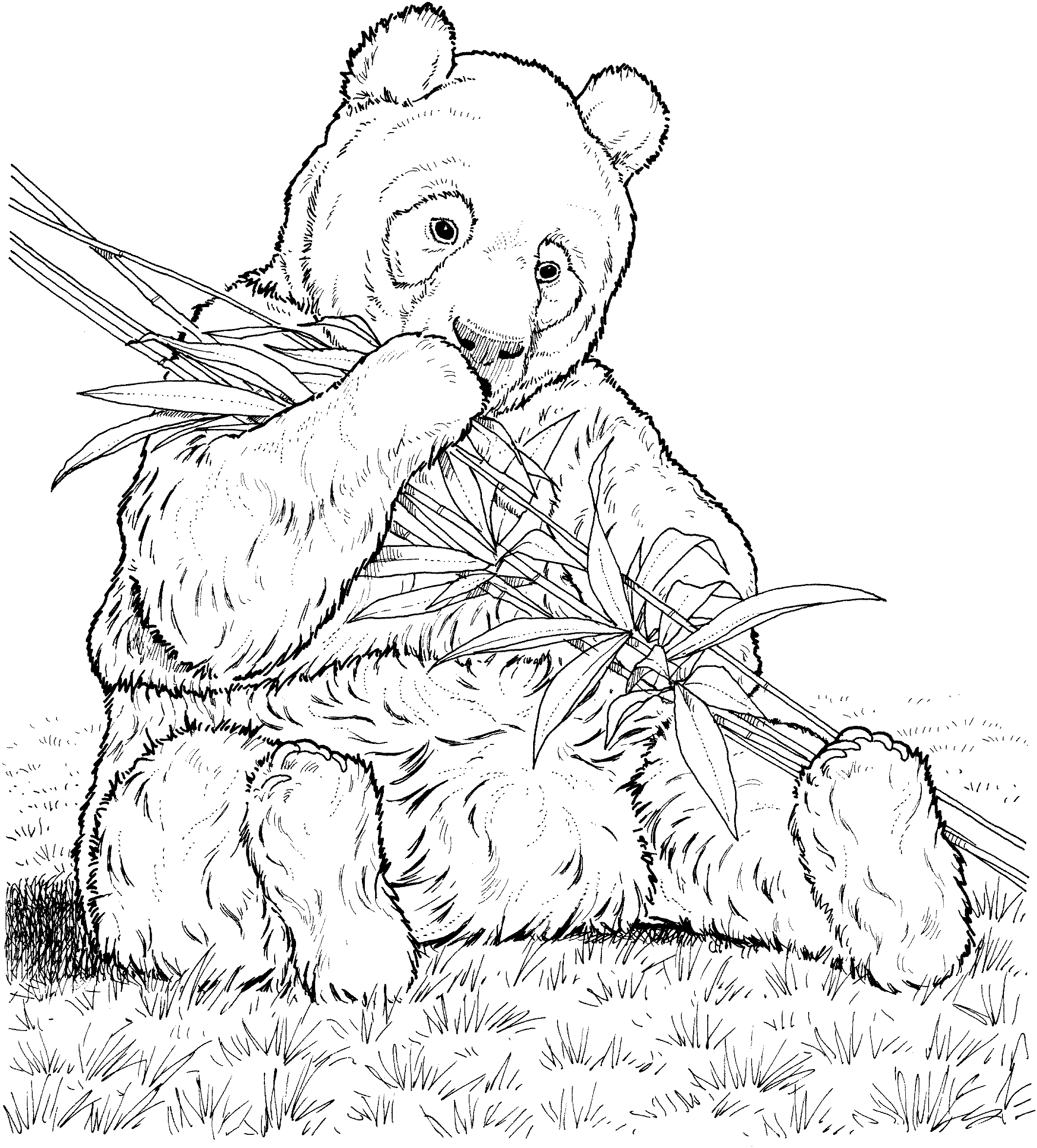 Panda mignon assis dans un environnement naturel