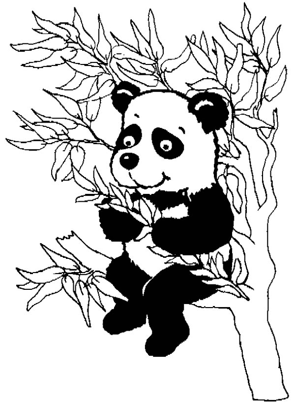 Un panda mignon se prélassant dans un paysage forestier