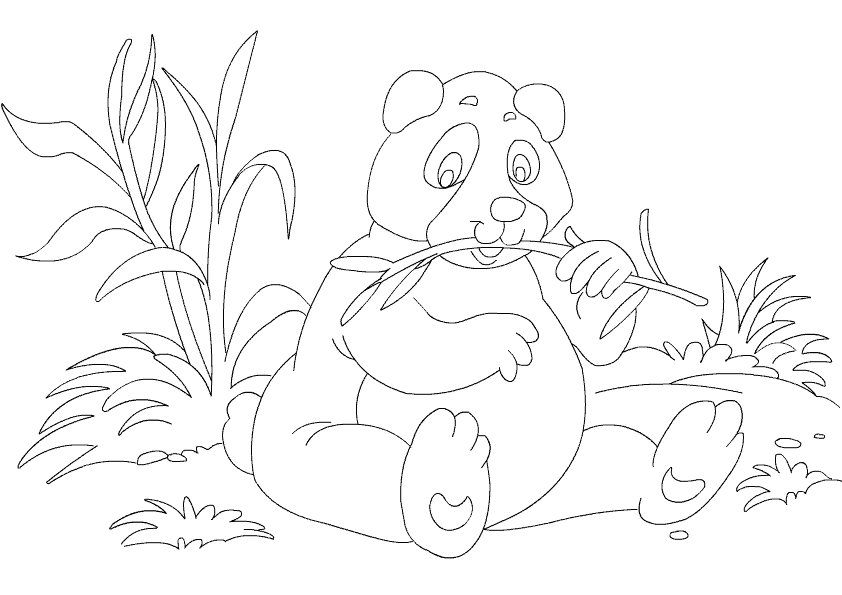 Panda mignon assis dans un paysage naturel