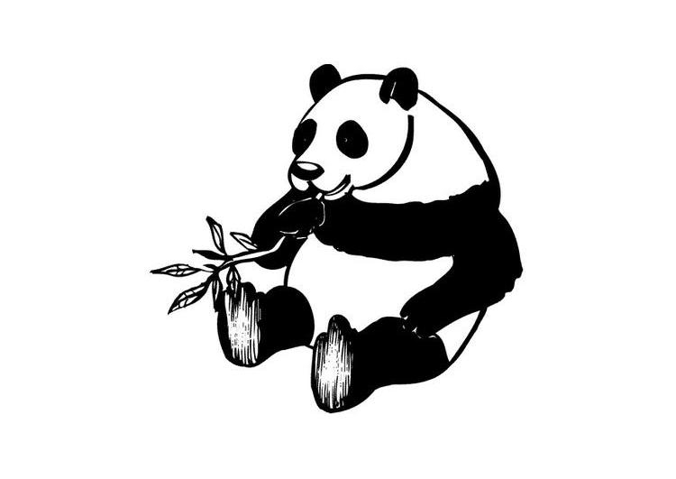 Un panda souriant se prélasse parmi des bambous luxuriants