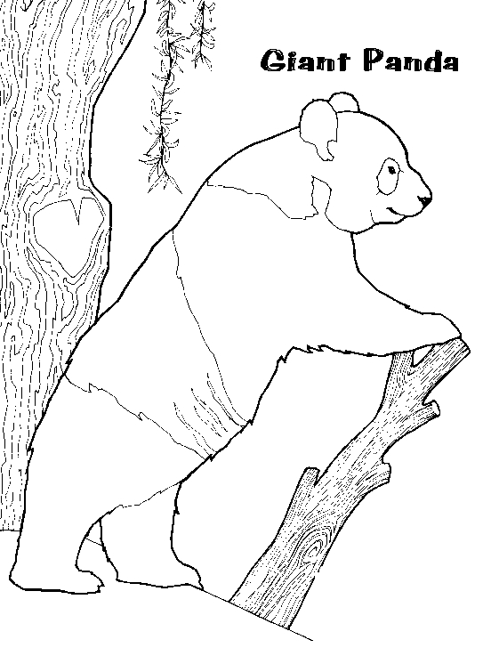 Un panda paisible se reposant sur un tronc d'arbre
