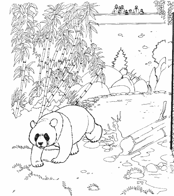 Un panda mignon se relaxe au milieu de bambous