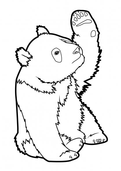 Panda mignon assis parmi des bambous