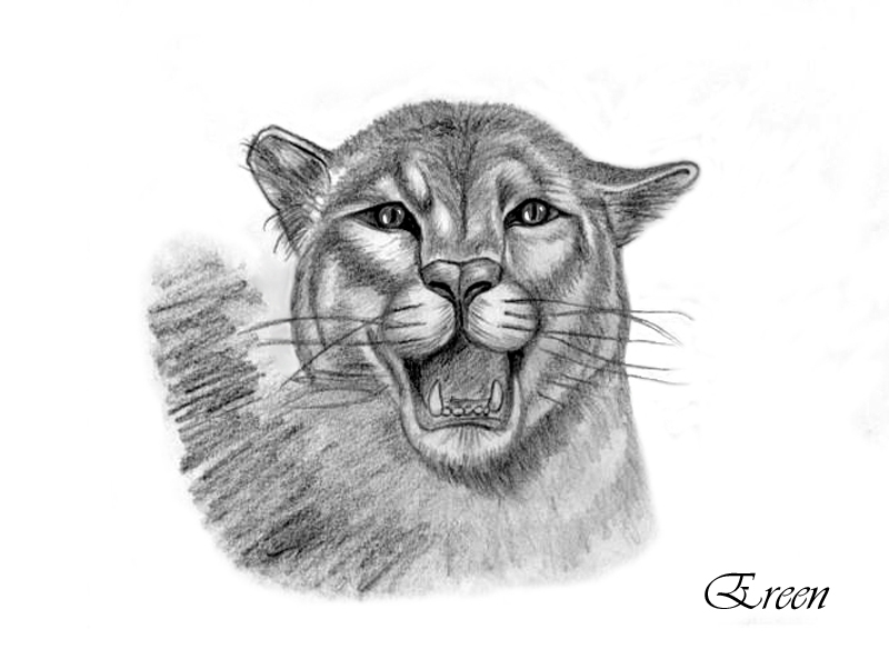 Coloriage d'une panthère majestueuse sur fond naturel