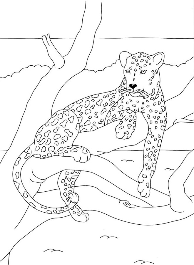 Coloriage d'une panthère majestueuse en pleine attitude naturelle