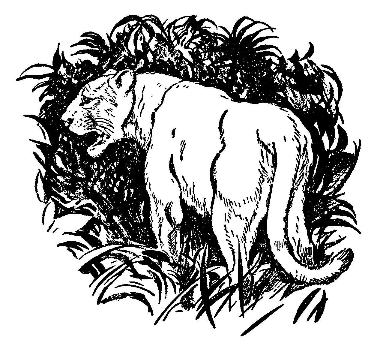 Coloriage d'une panthère majestueuse dans son habitat naturel