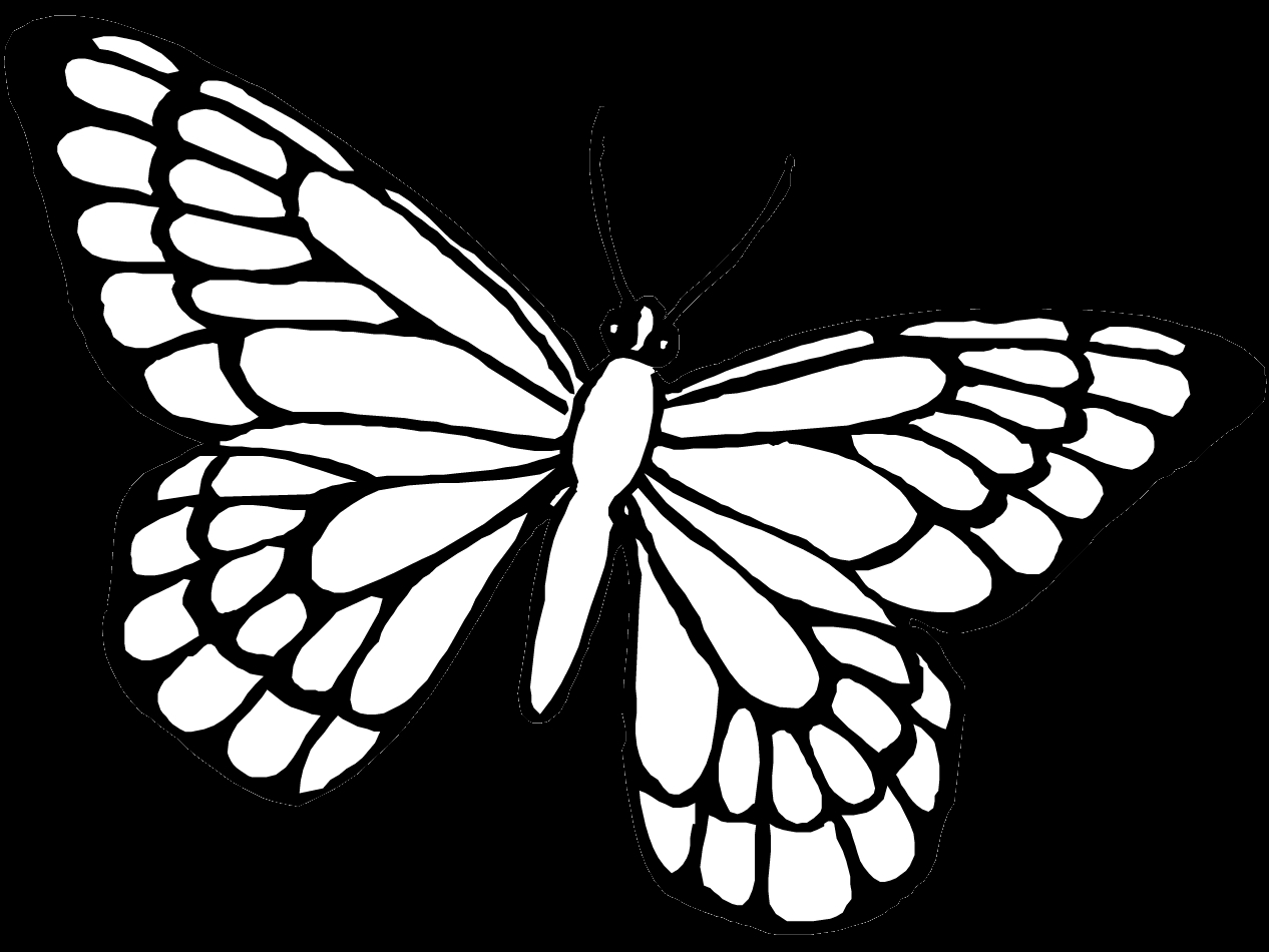 Coloriage d'un papillon aux ailes déployées sur fond floral