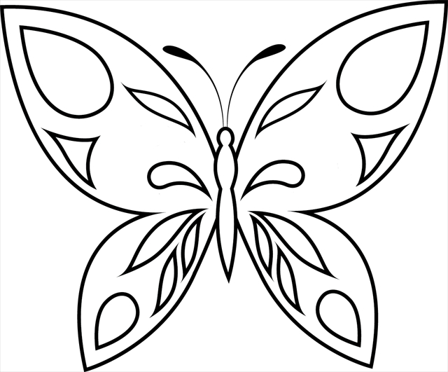 Coloriage d'un papillon délicat sur une feuille