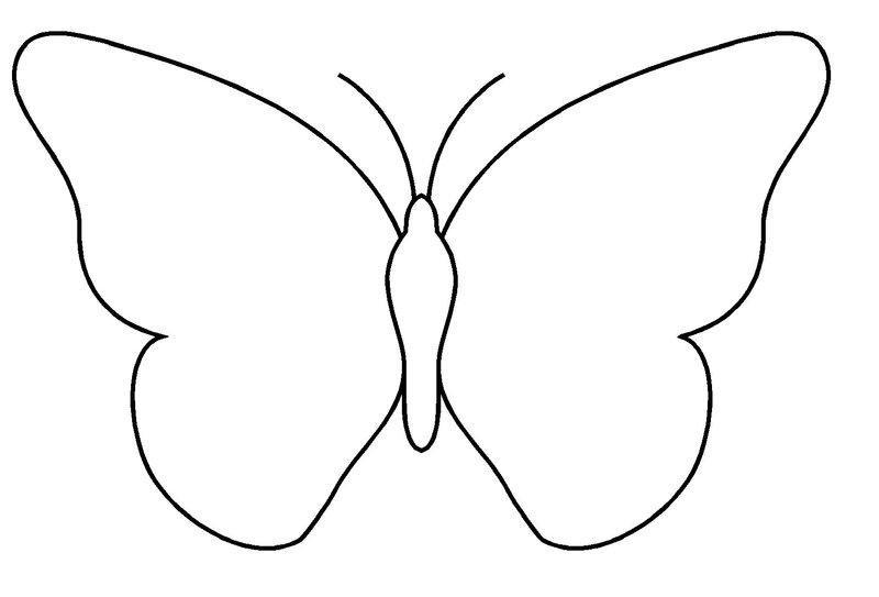 Coloriage d'un papillon sur un fond floral
