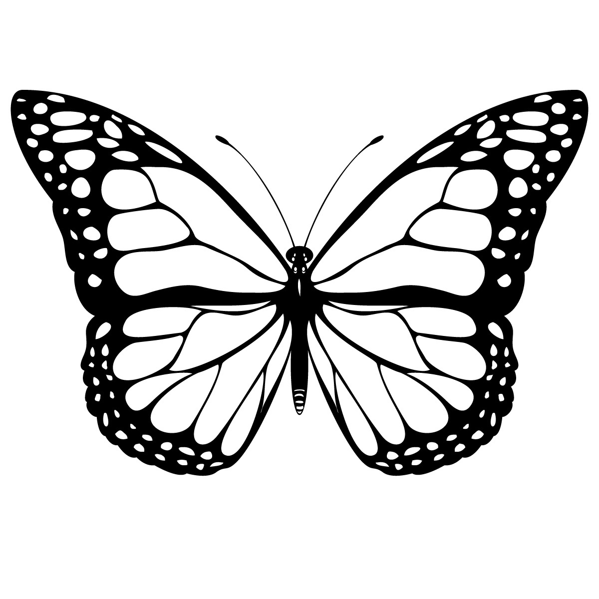 Coloriage d'un papillon délicat sur fond de fleurs