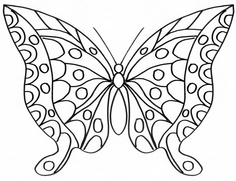 Coloriage d'un papillon posé sur une fleur