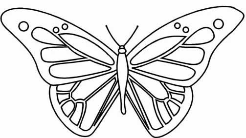 Coloriage d'un papillon délicat sur un fond floral