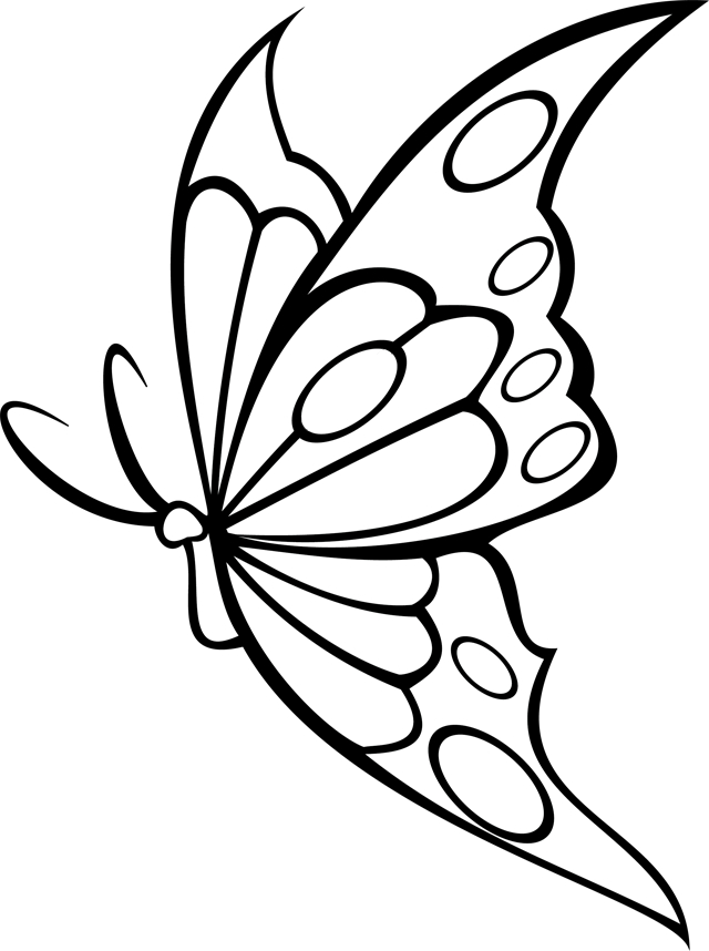 Coloriage d'un papillon aux ailes ornées de motifs