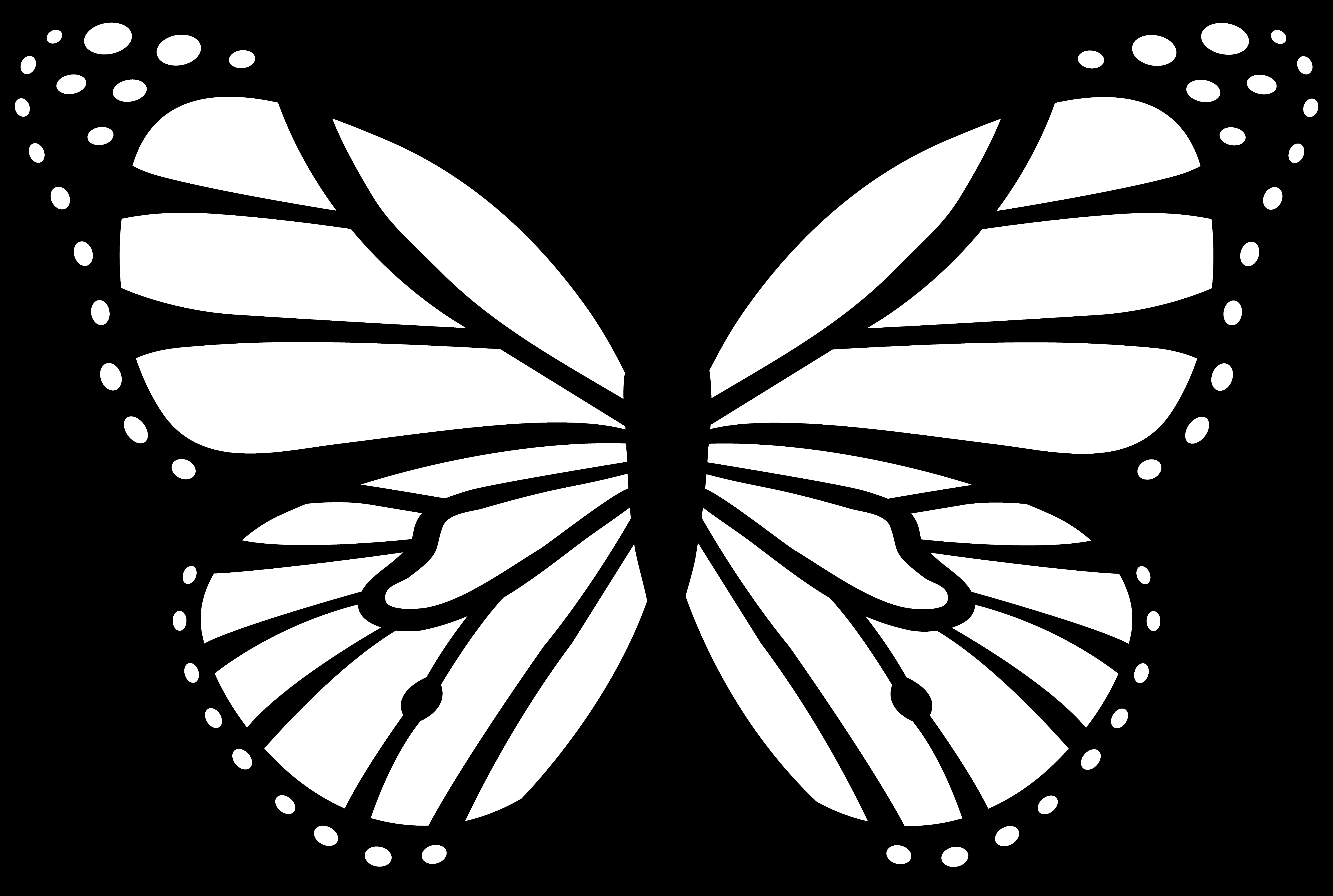 Coloriage d'un papillon délicat en plein vol