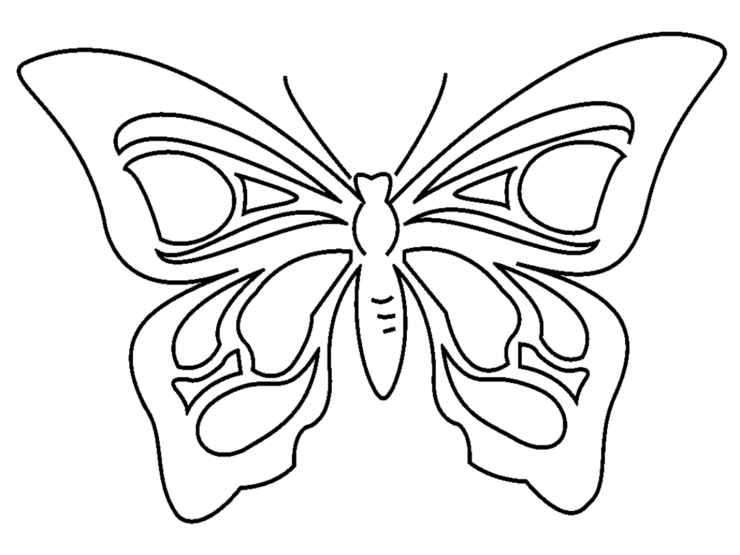 Coloriage d'un papillon avec des motifs détaillés dans ses ailes