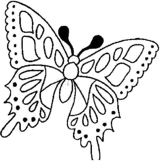 Coloriage d'un papillon délicat sur un fond de fleurs
