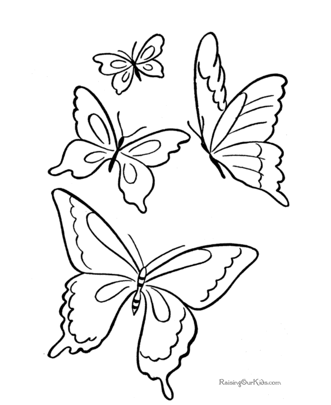 Coloriage d'un papillon aux ailes délicates sur fond floral