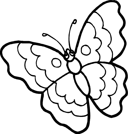 Coloriage d'un papillon stylisé sur fond orné de motifs